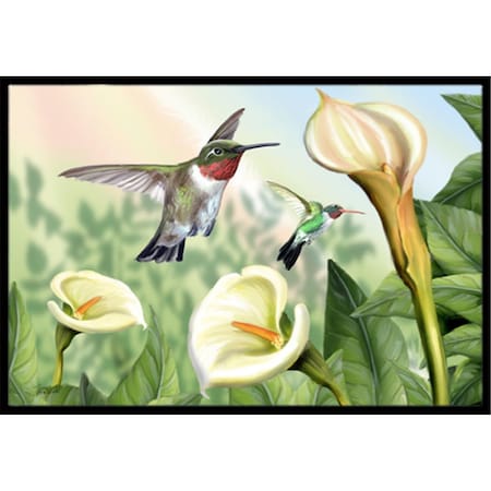 Carolines Treasures Lily And The Hummingbirds Indoor and Outdoor Mat- 18 x 27 in. PTW2058MAT